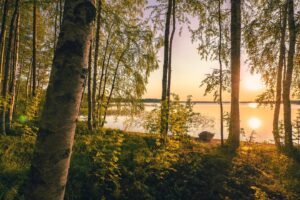 Come back after the summer, says one analyst on crypto markets