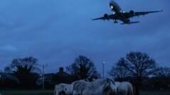 Heathrow’s ‘critical’ expansion blueprint released
