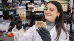 The ancient trick making food waste useful and tasty