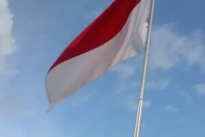 Indonesia centralizes strategic commodity exports under Danantara Sumberdaya Indonesia control from June 1