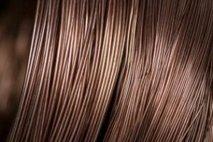 Copper holds losses as stronger dollar and hawkish Fed weigh on demand