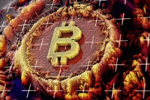 Why diehard bitcoin purists aren’t sweating the massive price crash that wiped out $200 billion