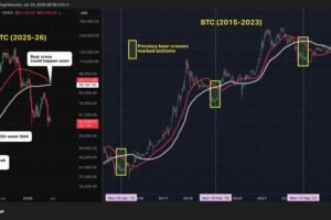 Bitcoin price has limited downside, likely near bottom, contrarian indicator suggests