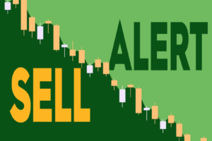 Why Did Ambarella’s CFO Sell Over 5,000 Company Shares?